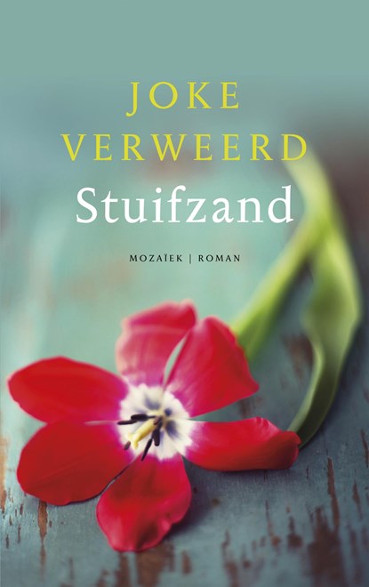 Stuifzand, Joke Verweerd - Paperback - 9789023953784