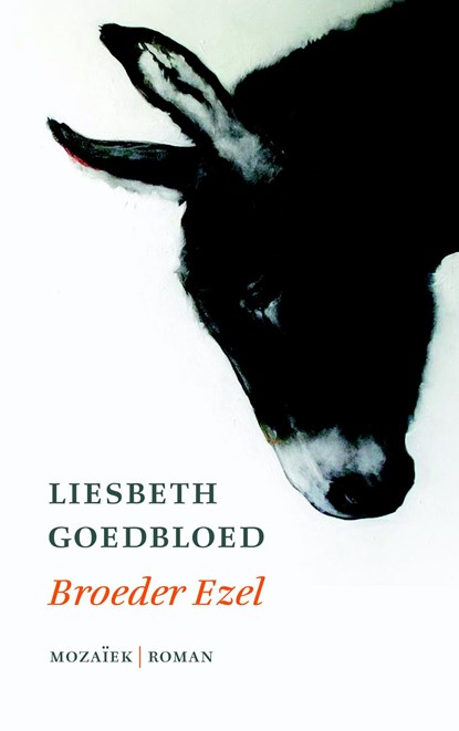 Broeder ezel, Liesbeth Goedbloed - Ebook - 9789023955276