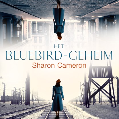 Het Bluebird geheim, Sharon Cameron - Luisterboek MP3 - 9789023960751