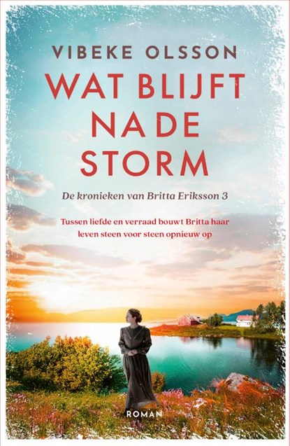 Wat blijft na de storm, Vibeke Olsson - Paperback - 9789023963110