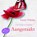 Aangeraakt, Gerry Velema - Paperback - 9789023970033