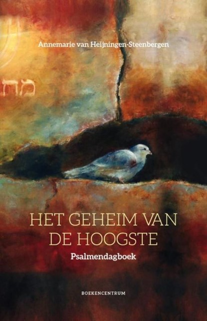Het geheim van de Hoogste, Annemarie van Heijningen-Steenbergen - Ebook - 9789023979203