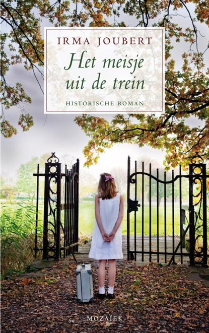 Het meisje uit de trein, Irma Joubert - Paperback - 9789023993629