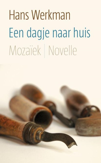 Een dagje naar huis, Hans Werkman - Paperback - 9789023994312