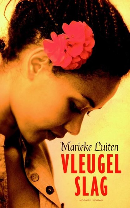 Vleugelslag, Marieke Luiten - Ebook - 9789023996477