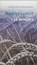 Spiritualiteit van beneden, Anselm Grün - Paperback - 9789024264643