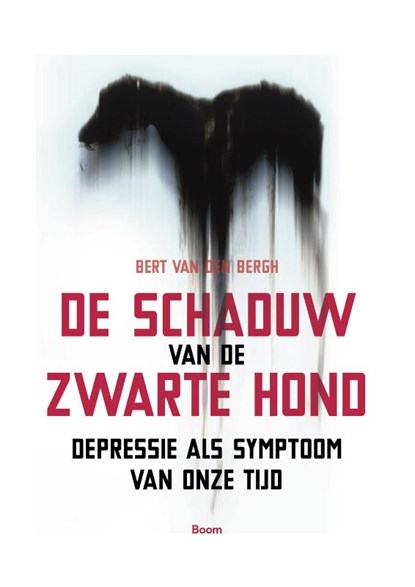 De schaduw van de zwarte hond, Bert van den Bergh - Paperback - 9789024402960
