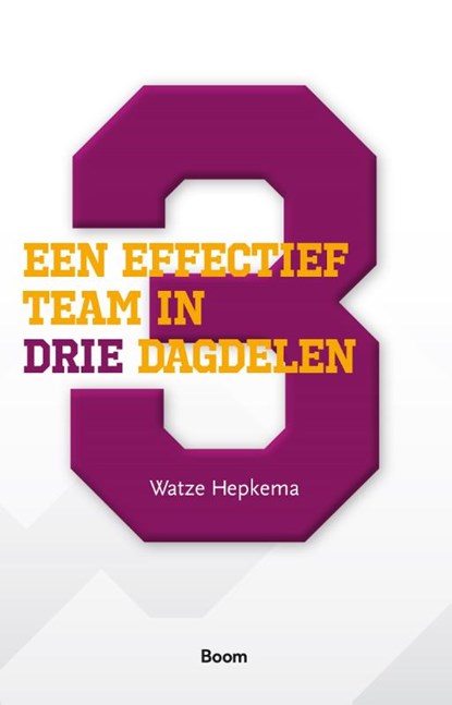 Een effectief team in drie dagdelen, Watze Hepkema - Paperback - 9789024404155