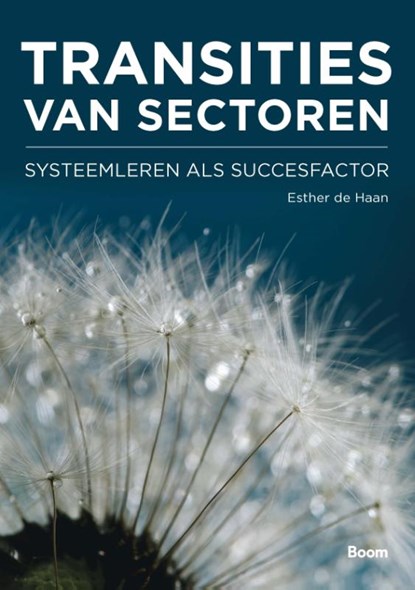 Transities van sectoren, Esther de Haan - Paperback - 9789024404643