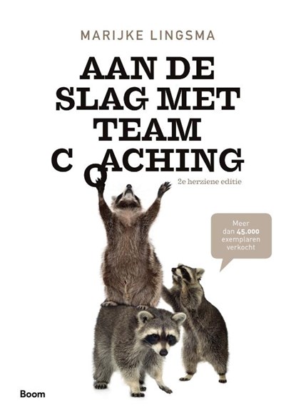 Aan de slag met teamcoaching, Marijke Lingsma - Paperback - 9789024421213