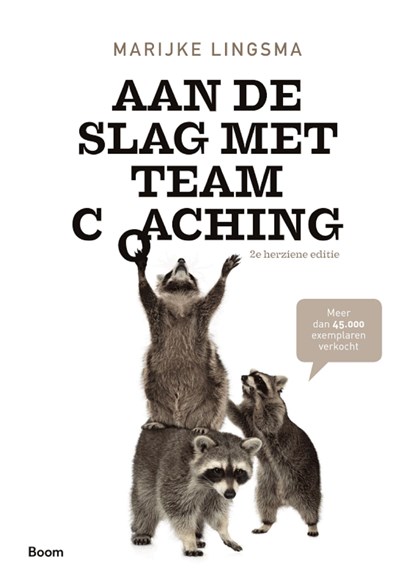 Aan de slag met teamcoaching, Marijke Lingsma - Ebook - 9789024421220