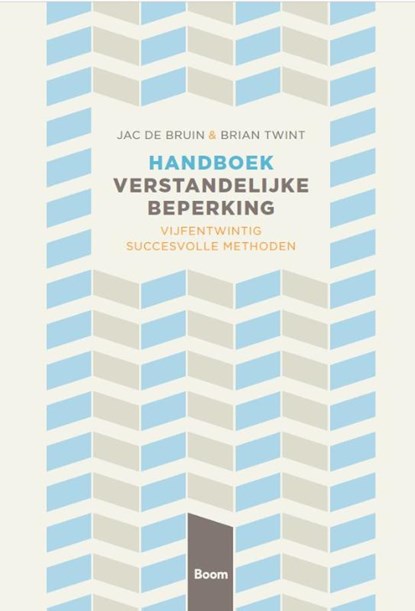 Handboek verstandelijke beperking, Jac de Bruijn ; Brian Twint - Paperback - 9789024425655