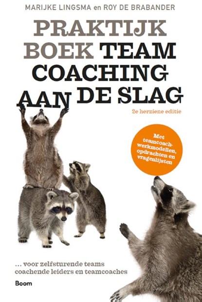 Praktijkboek Teamcoaching, aan de slag, Marijke Lingsma ; Roy de Brabander - Paperback - 9789024425716