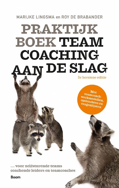 Praktijkboek teamcoaching, aan de slag, Marijke Lingsma ; Roy de Brabander - Ebook - 9789024425723