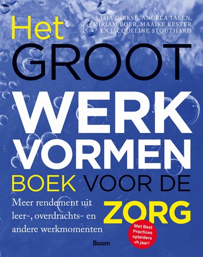 Het groot werkvormenboek voor de zorg, Sasja Dirkse ; Angela Talen ; Miriam Boer ; Maaike Kester ; Jacqueline Stouthard - Ebook - 9789024427499