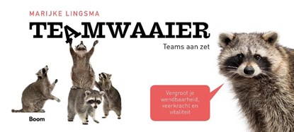Teamwaaier, Marijke Lingsma - Paperback - 9789024428724
