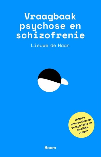 Vraagbaak psychose en schizofrenie, Lieuwe de Haan - Paperback - 9789024434589