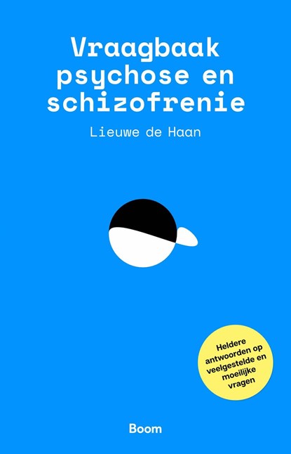 Vraagbaak psychose en schizofrenie, Lieuwe de Haan - Ebook - 9789024434596