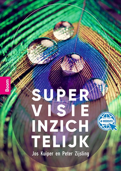 Supervisie inzichtelijk, Jos Kuiper ; Peter Zijsling - Ebook - 9789024438051