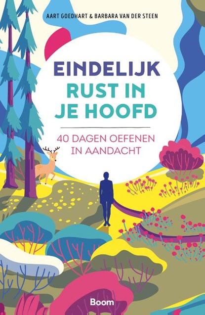 Eindelijk rust in je hoofd, Aart Goedhart ; Barbara van der Steen - Paperback - 9789024438686