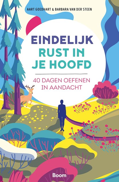 Eindelijk rust in je hoofd, Aart Goedhart ; Barbara van der Steen - Ebook - 9789024438693