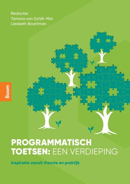 Programmatisch toetsen: een verdieping, Liesbeth Baartman ; Tamara van Schilt-Mol - Paperback - 9789024452316
