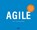 Agile, Rini van Solingen - Gebonden - 9789024458028
