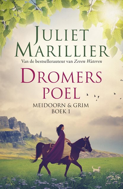 Dromerspoel, Juliet Marillier - Ebook - 9789024570386