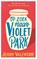 Op zoek naar Violet Park, Jenny Valentine - Paperback - 9789024571833