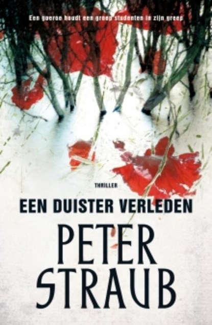 Een duister verleden, STRAUB, Peter - Paperback - 9789024574452