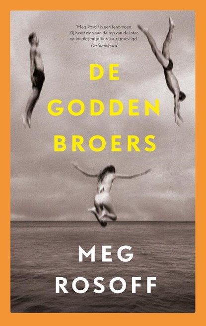 De Godden broers, Meg Rosoff - Gebonden - 9789024592357