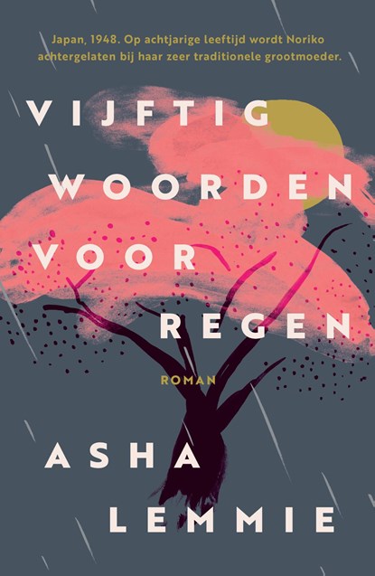 Vijftig woorden voor regen, Asha Lemmie - Paperback - 9789024595570