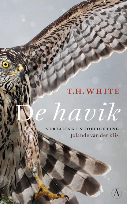 De havik, T.H. White - Paperback - 9789025302818