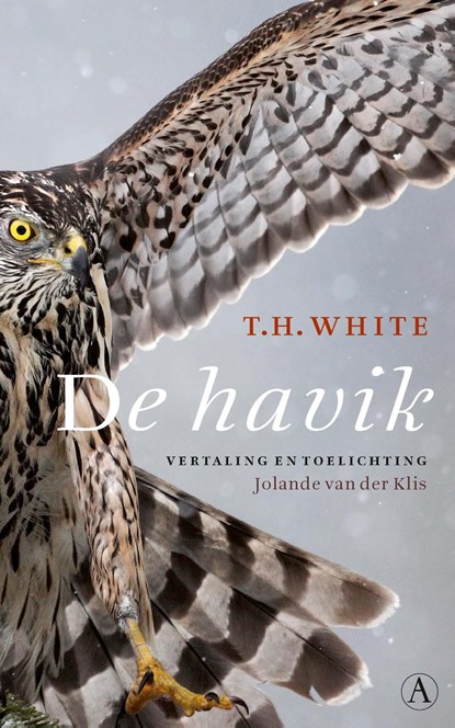 De havik, T.H. White - Ebook - 9789025302825