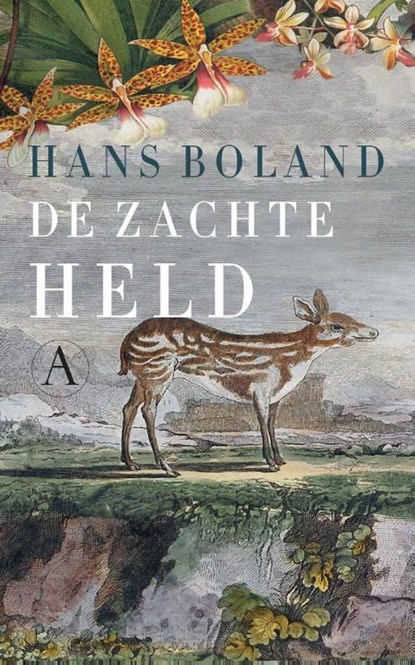 De zachte held, Hans Boland - Ebook - 9789025303686