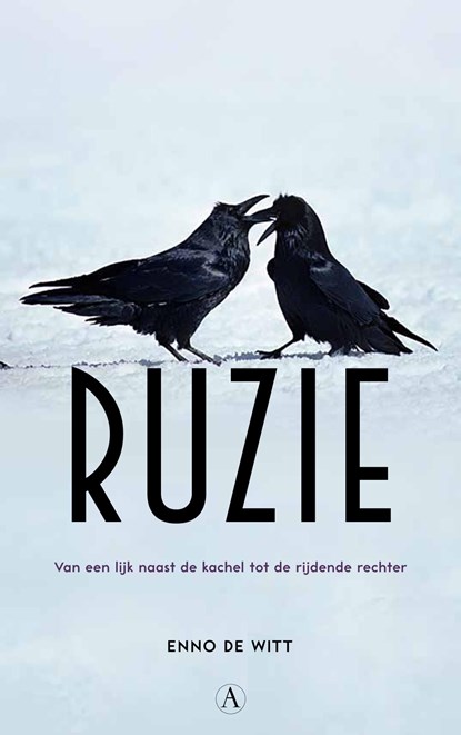 Ruzie, Enno de Witt - Ebook - 9789025308360