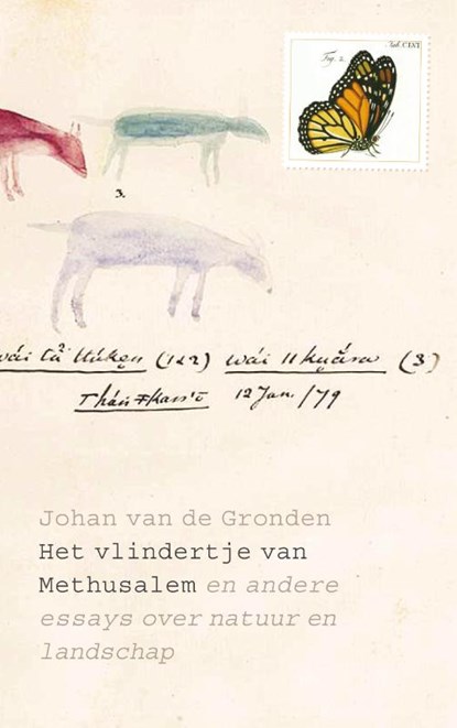 Het vlindertje van Methusalem, Johan van de Gronden - Paperback - 9789025309565
