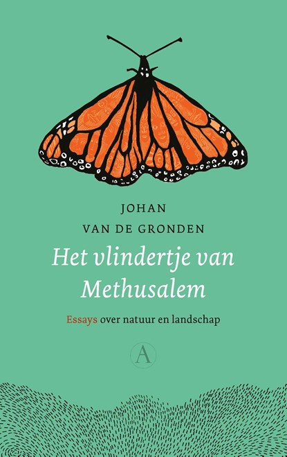 Het vlindertje van Methusalem, Johan van de Gronden - Ebook - 9789025309657