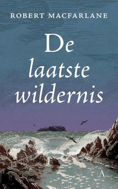 De laatste wildernis, Robert Macfarlane - Paperback - 9789025312985