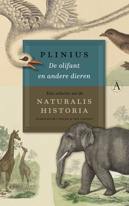De olifant en andere dieren, Plinius - Gebonden - 9789025317195