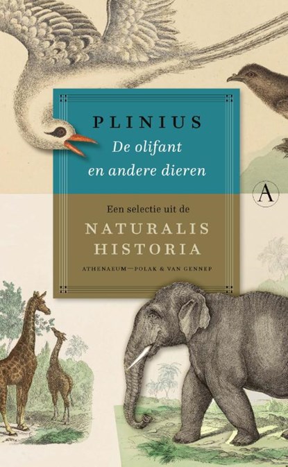 De olifant en andere dieren, Plinius - Gebonden - 9789025317195