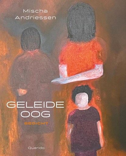 Geleideoog, Mischa Andriessen - Paperback - 9789025317706
