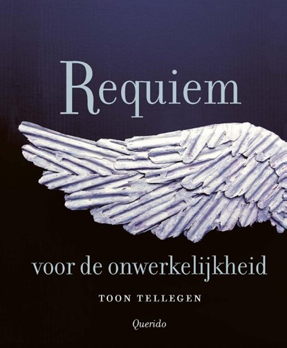 Requiem voor de onwerkelijkheid, Toon Tellegen - Gebonden - 9789025319342