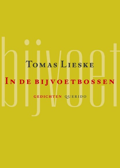 In de bijvoetbossen, Tomas Lieske - Paperback - 9789025319366