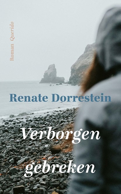 Verborgen gebreken, Renate Dorrestein - Paperback - 9789025320645