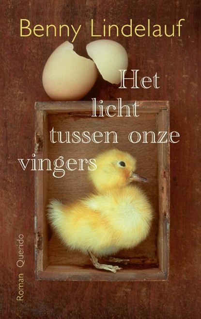 Het licht tussen onze vingers, Benny Lindelauf - Paperback - 9789025320836