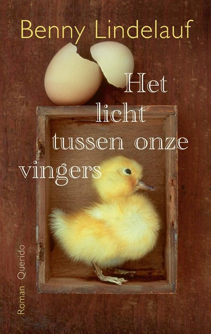 Het licht tussen onze vingers, Benny Lindelauf - Ebook - 9789025320843