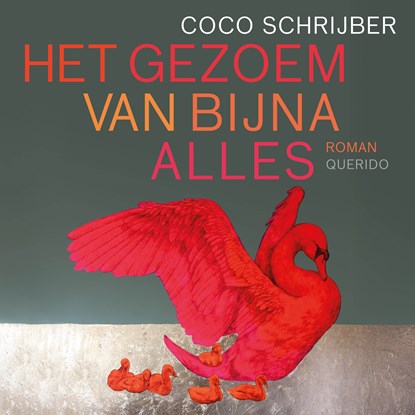 Het gezoem van bijna alles, Coco Schrijber - Luisterboek MP3 - 9789025322489
