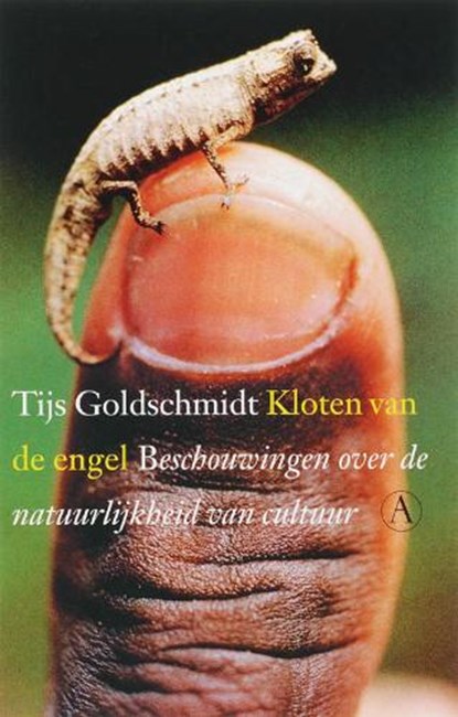 Kloten van de engel, GOLDSCHMIDT, Tijs - Paperback - 9789025363369