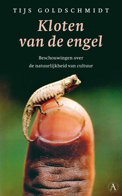 Kloten van de engel, Tijs Goldschmidt - Ebook - 9789025364786